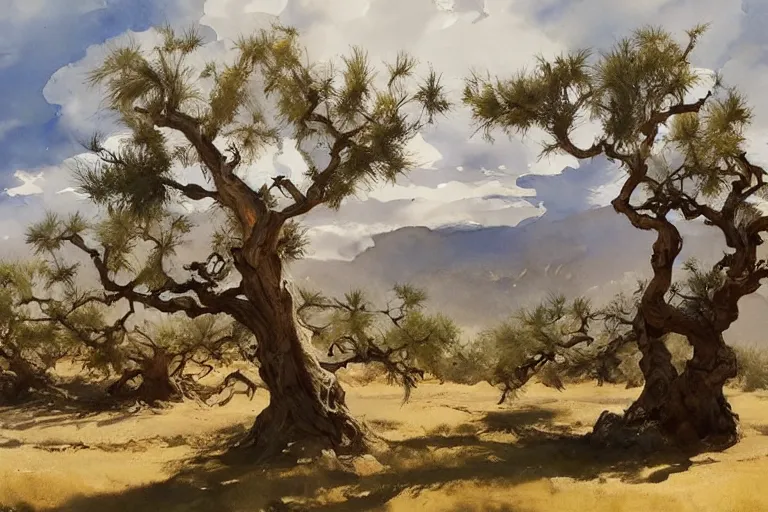 Prompt: watercolor painting of old, crooked olive tree in dry landscape, ambient lighting, art by hans gude, art by hans dahl, by jesper ejsing, art by anders zorn, wonderful masterpiece by greg rutkowski, cinematic light, american romanticism by greg manchess, creation by tyler edlin