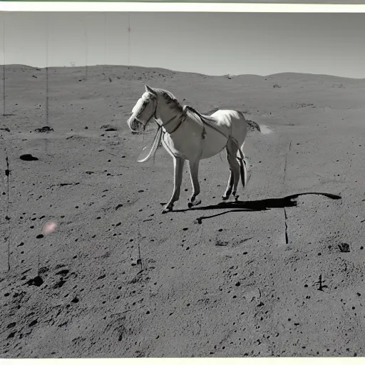 Prompt: retro photograph of a horse on moon drinking alcohol