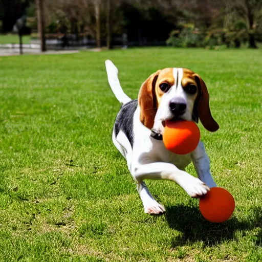 Prompt: film still of a beagle dog playing with an orange toy ring in the park