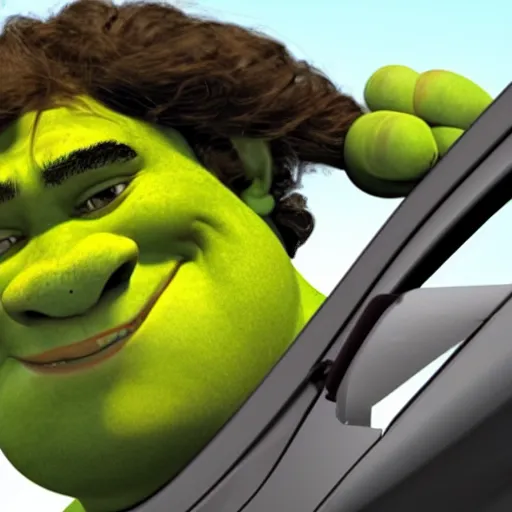 Prompt: dash cam footage of Shrek