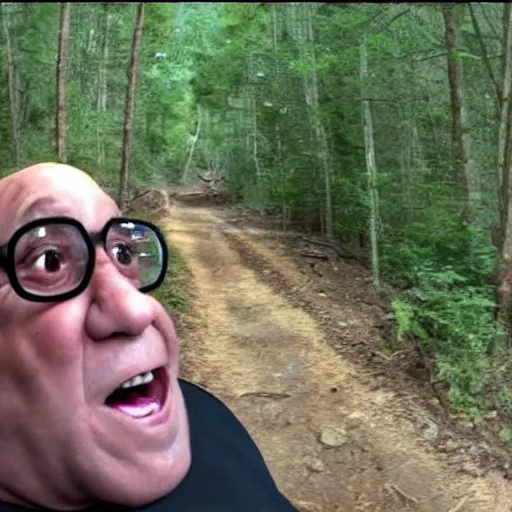 Image similar to danny devito trailcam footage