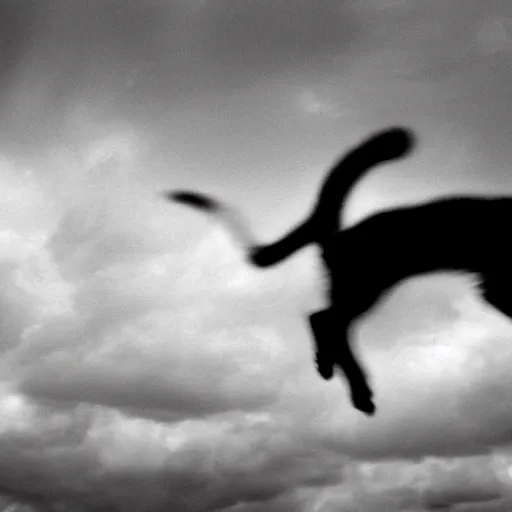 Prompt: a black and white photo of a cat jumping in the air, a renaissance painting by hanns katz, flickr contest winner, renaissance, renaissance painting, kinetic, demonic photograph