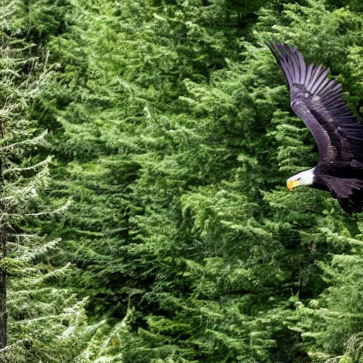 Image similar to black eagle flying over a forest