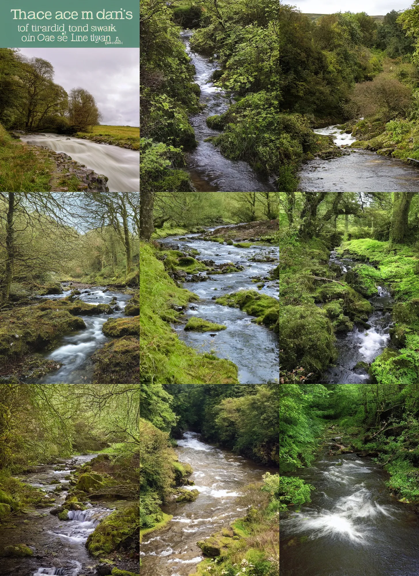 Prompt: there is a place in wales, tucked out of view magic happens, only seen by a few. for just one day, for only just one hour. the last summer ’ s day break at gelli aur. there you must follow a winding trout stream. search all the oaks with a tiny light beam