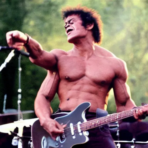 Image similar to hulk performing at woodstock