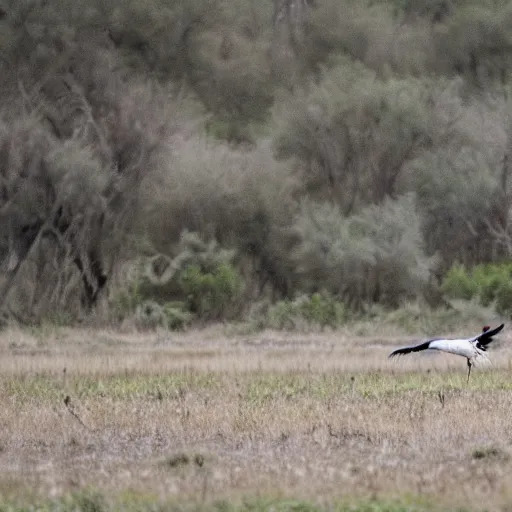 Image similar to secretary bird and an ostrich, fighting each other, in a fantasy field made of cotton candy