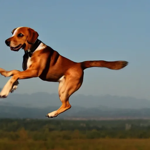 Image similar to I have never seen a dog fly this is amazing, 4k