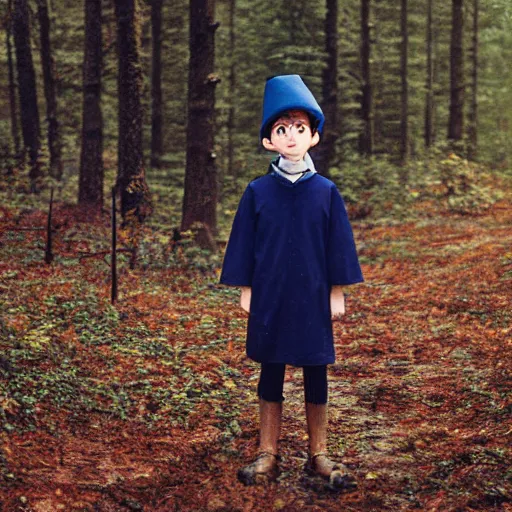 Prompt: portrait of wirt from over the garden wall. a 1 6 years old gloomy awkward boy with big brown eyes and shaggy brown hair wearing a red dunce hat and a blue navy cape, standing in the forest, kodachrome photograph, 1 9 9 5