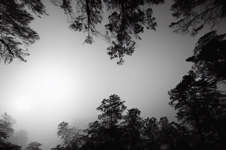 Image similar to huge red giant japanese fishes are flying between the tall trees of a deep forest at night. Looking up view, dramatic perspective.misty, mood.