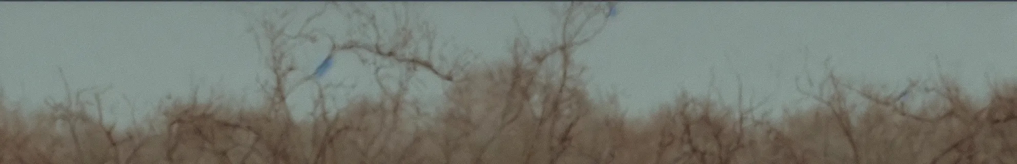 Image similar to a frames from a video