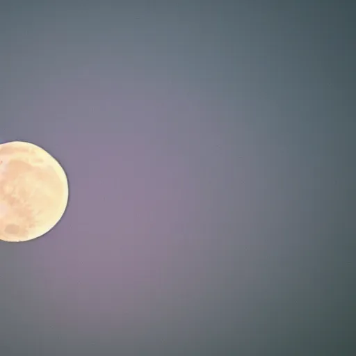 Prompt: a photo of a bird flying in front of a full moon