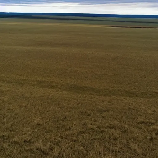Prompt: drone shot of a grassy plain area with no trees, a creepy / disturbing humanoid creature can be seen in the distance in the plain field, eerie, grainy footage, noon