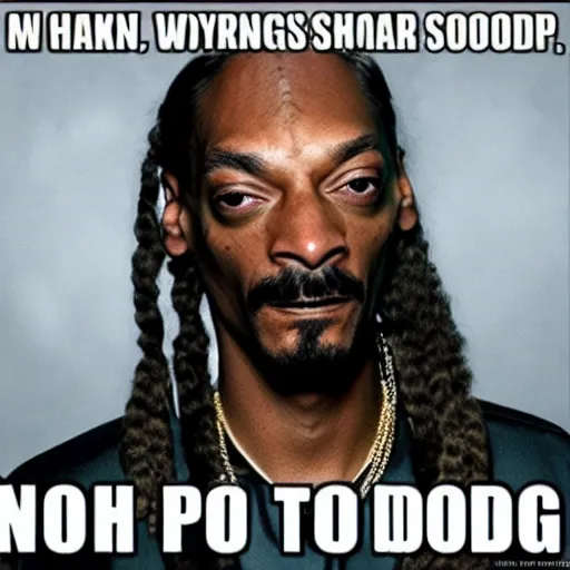 Image similar to snoop dogg in skyrim