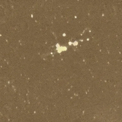 Prompt: top secret footage of a cluster inter dimensional chitinous cruciform of unknown Origin floating above a cornfield, grainy photograph, military documentation