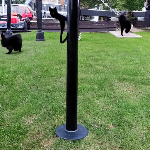 Prompt: black cat sliding down a metal pole dance