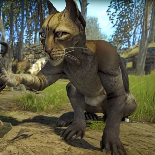 Prompt: Petting a Khajiit right between the ears and receiving an expression of mild bemusement.