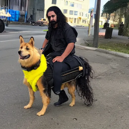 Prompt: a latin person with really curly mid length hair is wearing cyberpunk clothes and riding on top of a yellow Shepard dog