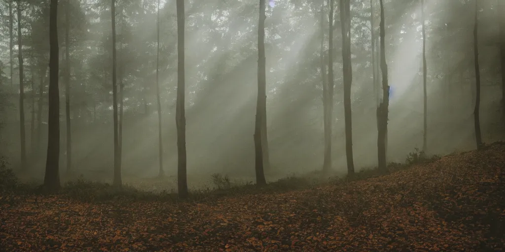 Image similar to The Grand Budapest Hotel in the woods, lost place photo, sunrays, mystic, mist, volumetric lights, wilderness, dirt, dramatic, cinematic, 8K, award winning photo