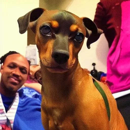 Image similar to a pinscher with snoop dogg head