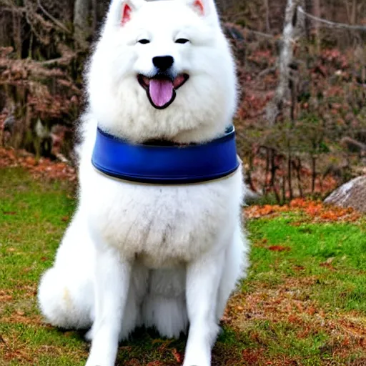 Prompt: a samoyed samurai