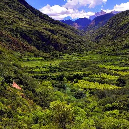 Image similar to a beautiful valley with special plants, photo