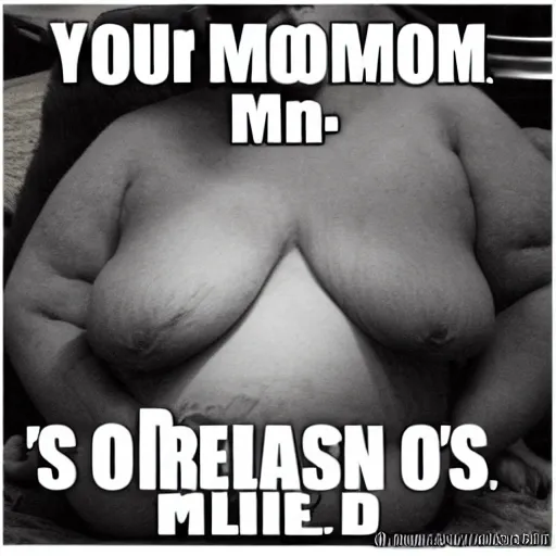 Image similar to your mom is so fat...