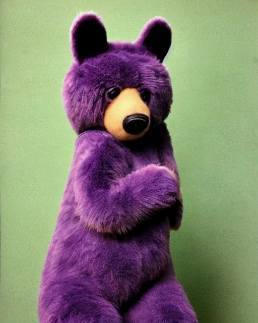 Image similar to a fantastic animal, a mix of a bear and a cat, with purple fur, realistic photo, 1970s