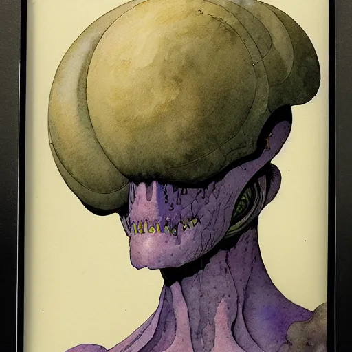 Image similar to a simple and atmospheric watercolour portrait of a pulp sci - fi alien, very muted colors, by rebecca guay, michael kaluta, charles vess and jean moebius giraud