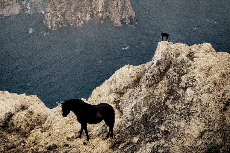 Image similar to beautiful black unicorn on top of a cliff natural lighting by Emmanuel Lubezki