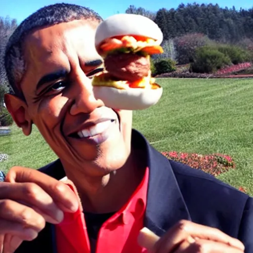 Prompt: selfie photo taken by barack obama while holding a hotdog, wide angle