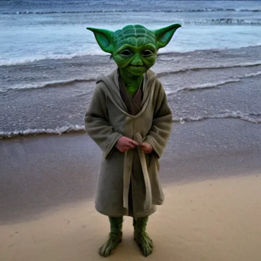 Prompt: sad real life Yoda on the beach