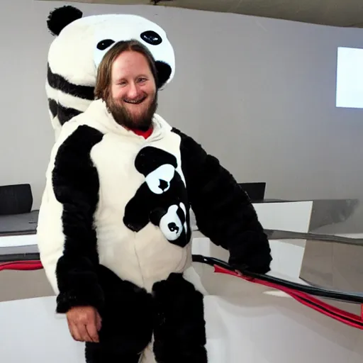 Prompt: chad hurley in a panda suit