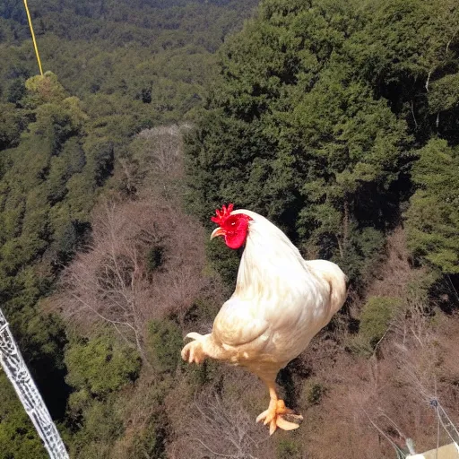 Image similar to A chicken bungee jumping