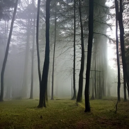 Image similar to un bosque magico