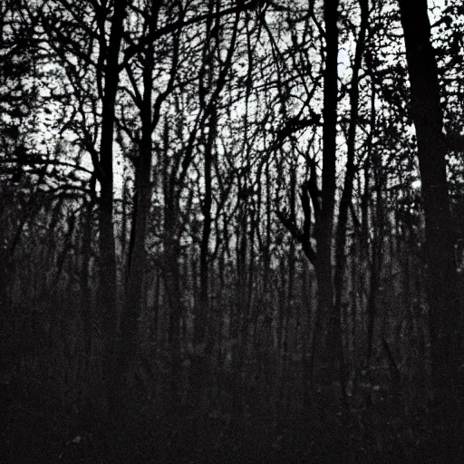 Image similar to grainy trail cam photo still of an alien in the woods at night hiding in the trees of a forest