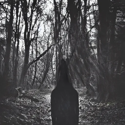 Prompt: ! werecreature that is a mix between human and crow, photograph captured in a forest