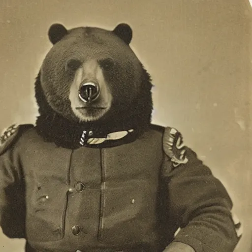 Prompt: A bear wearing a military uniform, vintage photo