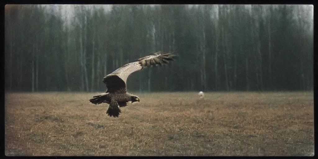 Image similar to detailed medium format photo, polaroid still from tarkovsky movie, a falcon escapes the falconer, haze, high production value, intricate details, 8 k resolution, hyperrealistic, hdr, photorealistic, high definition, tehnicolor, award - winning photography, masterpiece, amazing colors