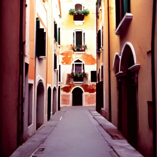 Prompt: kodak portra 8 0 0, flickr photograph view of a hallway street street with roses in neo - venezia in a calm breezy afternoon with a small store in one of the walls