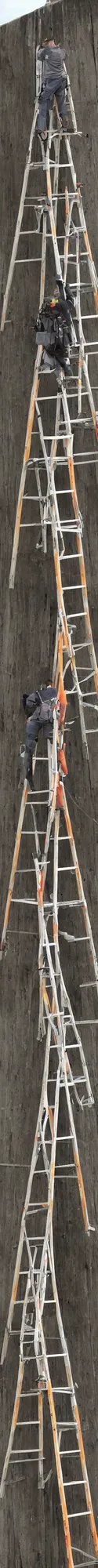 Prompt: a very tall ladder