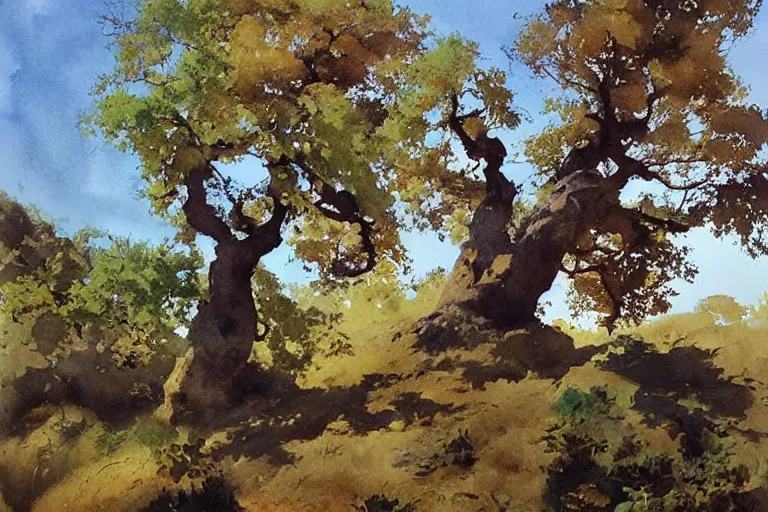 watercolor painting of young oak tree in portugal, art