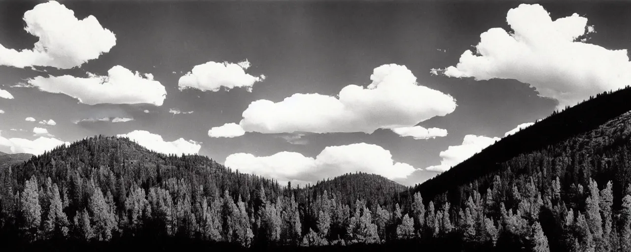 Image similar to the old american west, hills and forest, cloud shadow, vivid, photograph by ansel adams