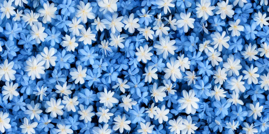 Image similar to minimalistic wallpaper of light blue flowers and white flowers, matte painting