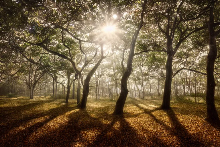 Image similar to portrait of crepe myrtle trees in a forest during a blizzard. golden hour. shadow and light. rays of light. energetic, dynamic, lively, detailed, intricate, complex. fine art by hayao miyazaki, akira toriyama, makoto shinkai, and ohara koson. studio lighting. tilt and shift lens. bokeh.