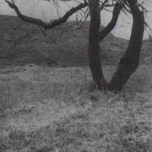 Image similar to old photo of a creepy landscape