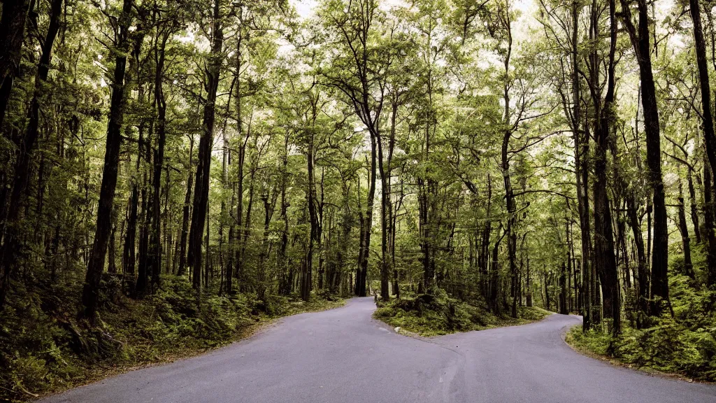 Prompt: photograph of a street on a hill that goes through a forest