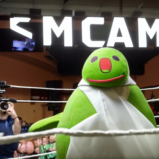 Prompt: cinematic photograph of elon musk in an avacado suit with an avacado hat, realistic, japanese mascot, in a boxing ring, 4 k, cinemqtic lighting, high quality photography, mid shot