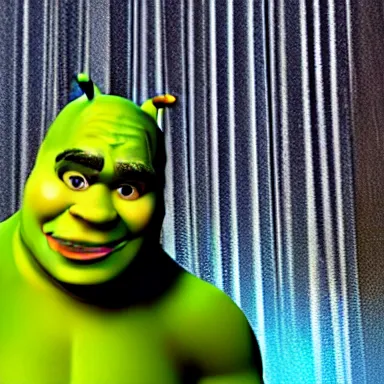 Image similar to profile picture for shrek