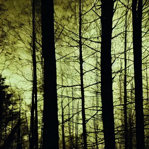 Image similar to grainy trail cam photo still of an alien in the woods at night hiding in the trees of a forest