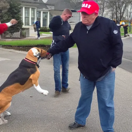 Prompt: beagle getting into fist fight with trump supporter